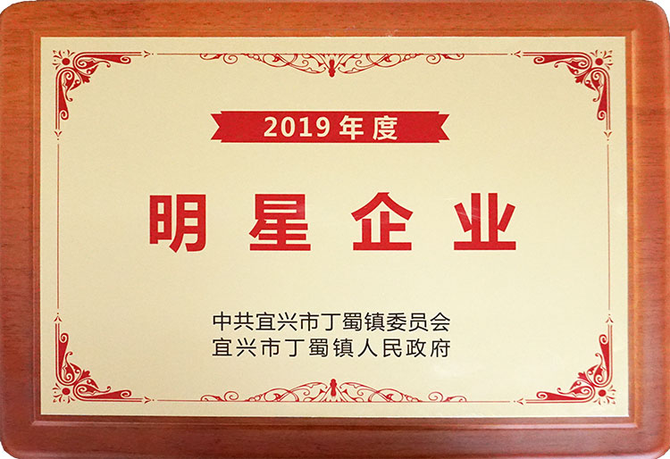 2019年度明星企業